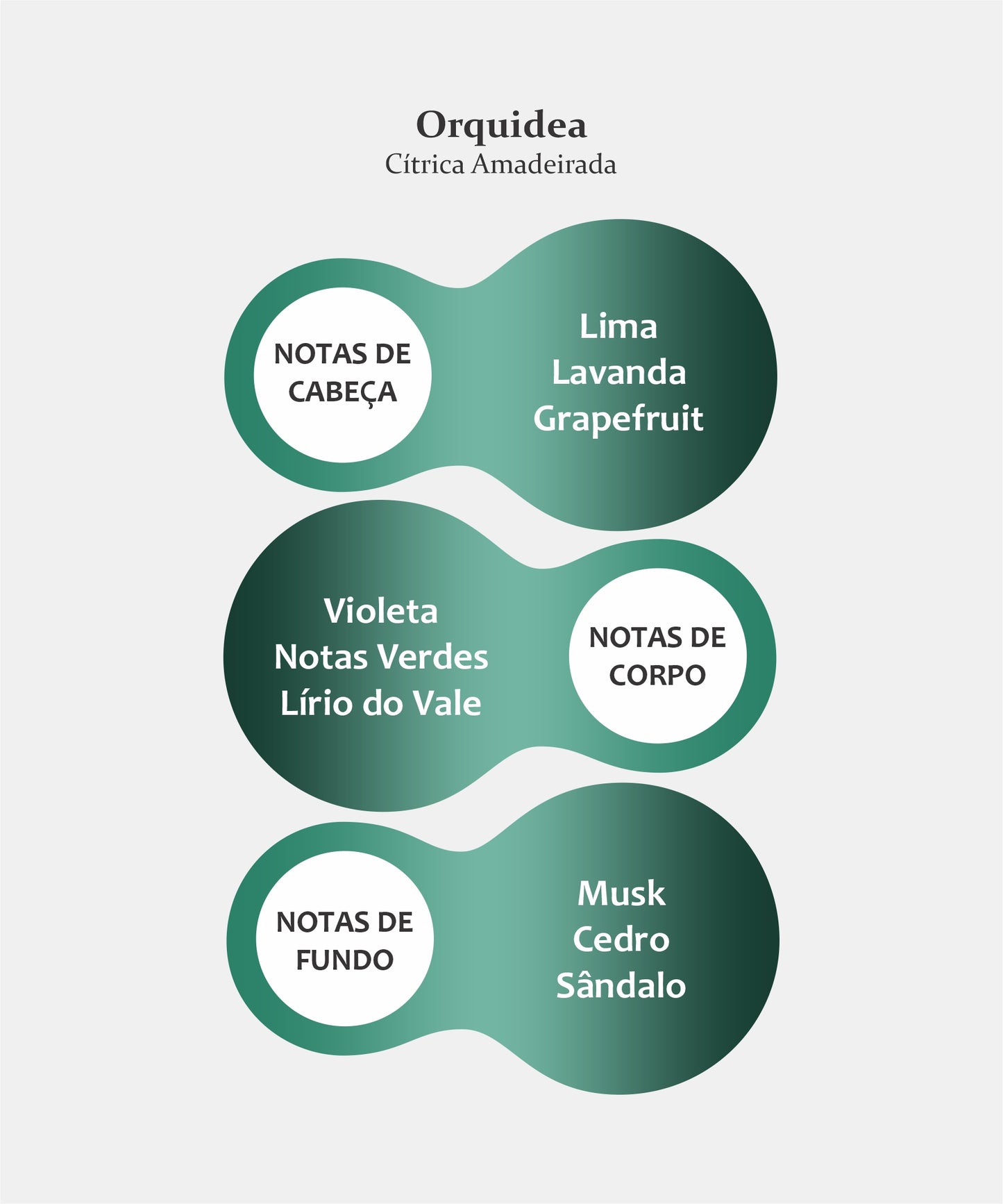 ORQUIDEA FRAGRÂNCIA