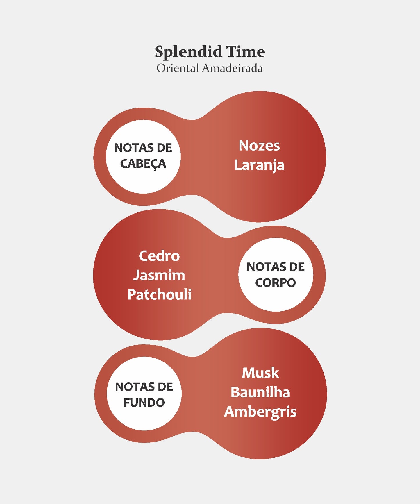 SPLENDID TIME FRAGRÂNCIA